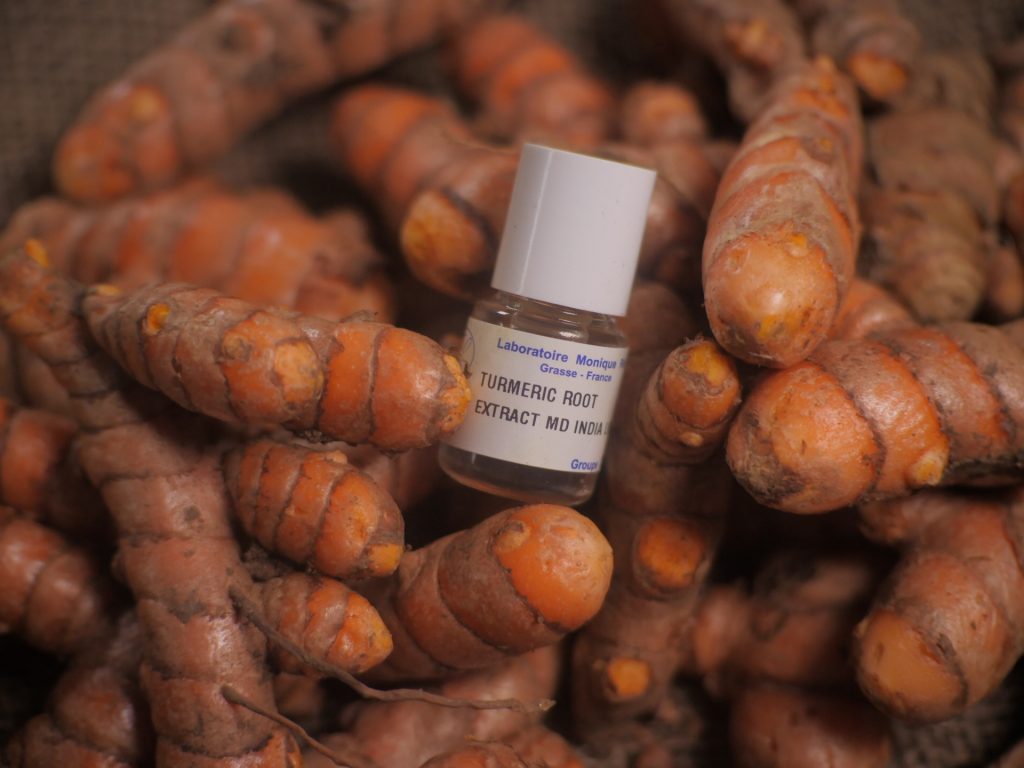 Upcycling des feuilles de curcuma