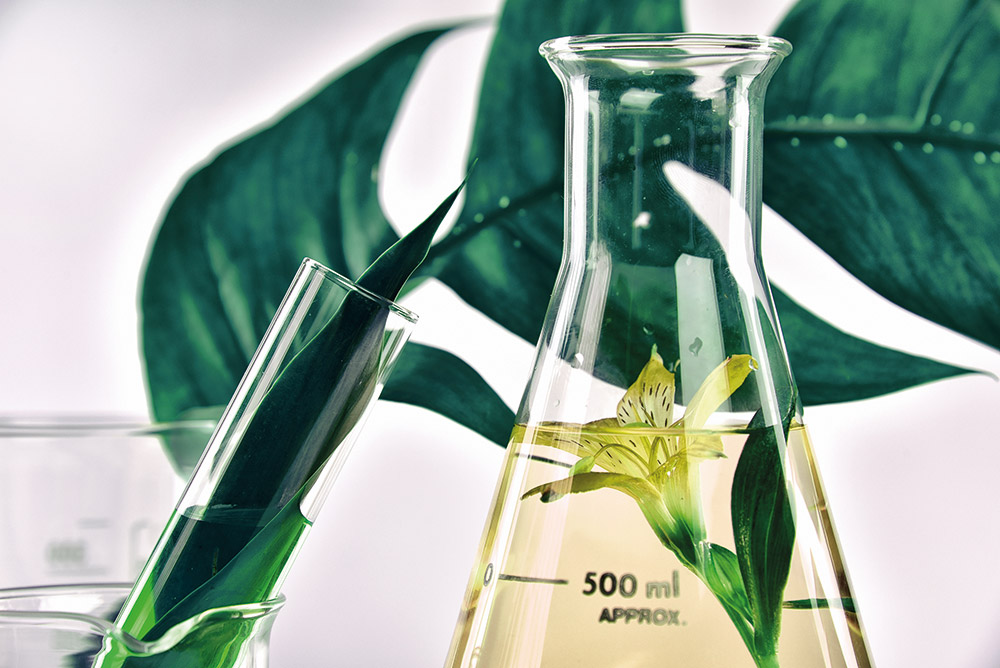 Sustainability - Dossier Perfumes